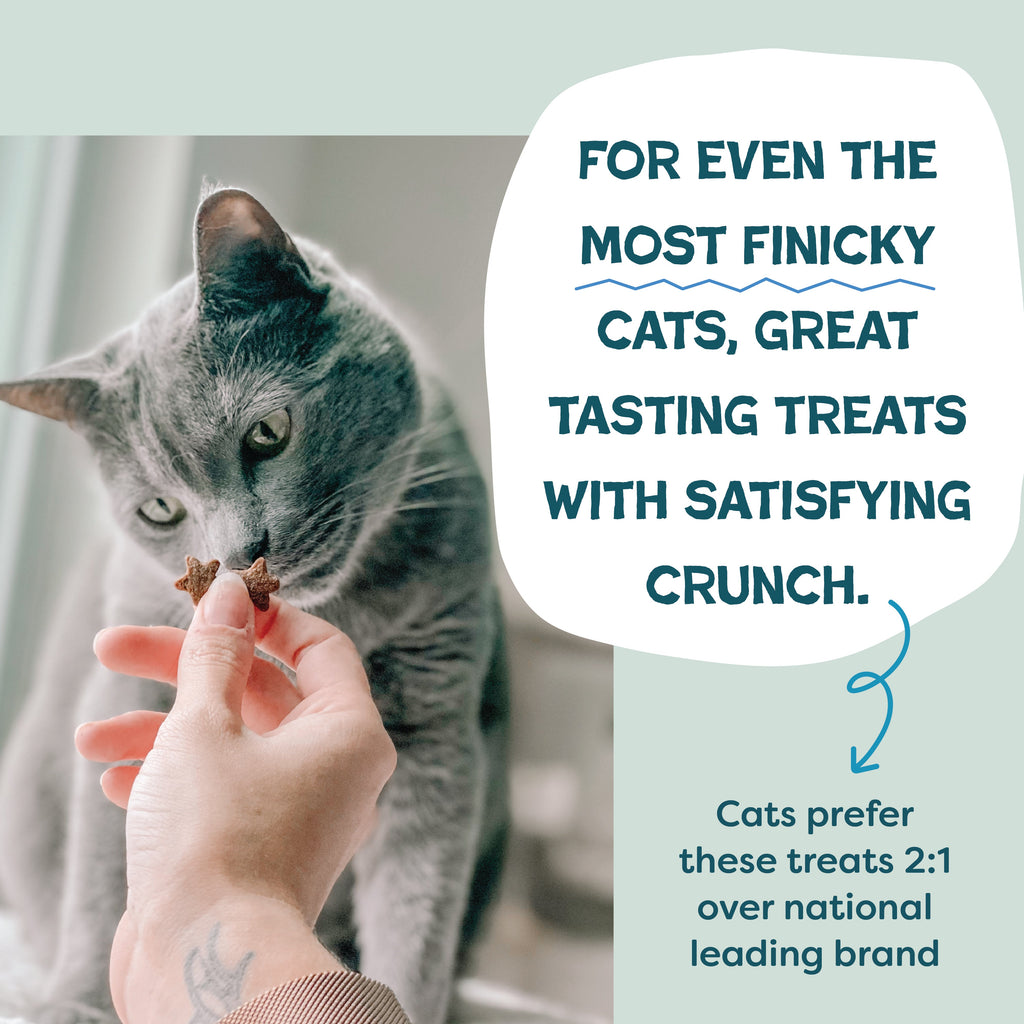 Everyday Home Fintastic Catnip for daily home and personal routines with pet care treats and accessories