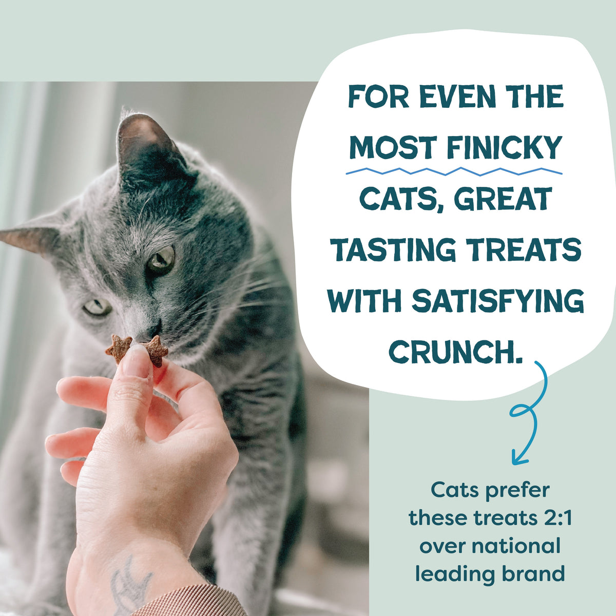 Everyday Home Fintastic Catnip for daily home and personal routines with pet care treats and accessories