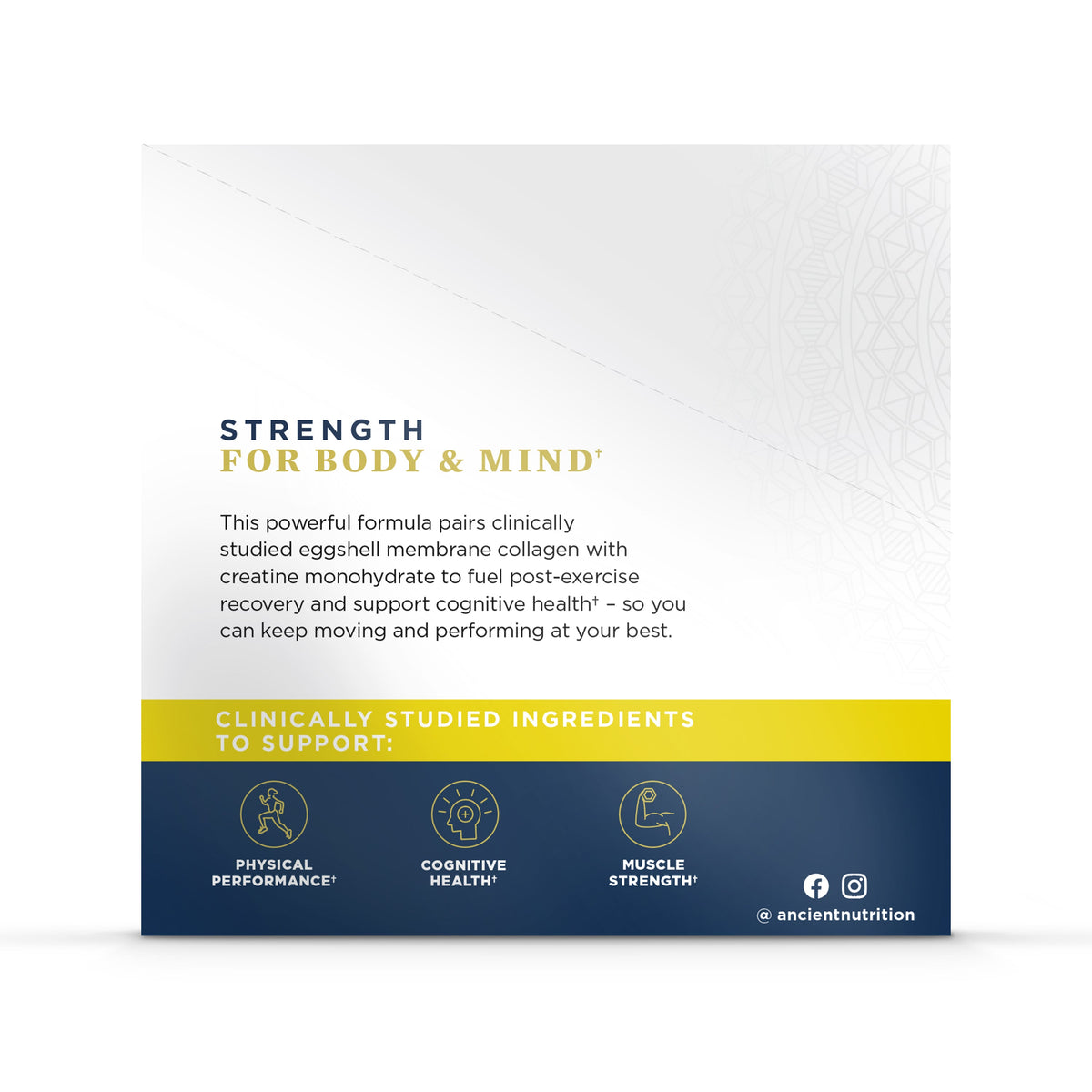 Home Essentials Creatine + Collagen Gel Packs for daily home and personal routines with general everyday essentials