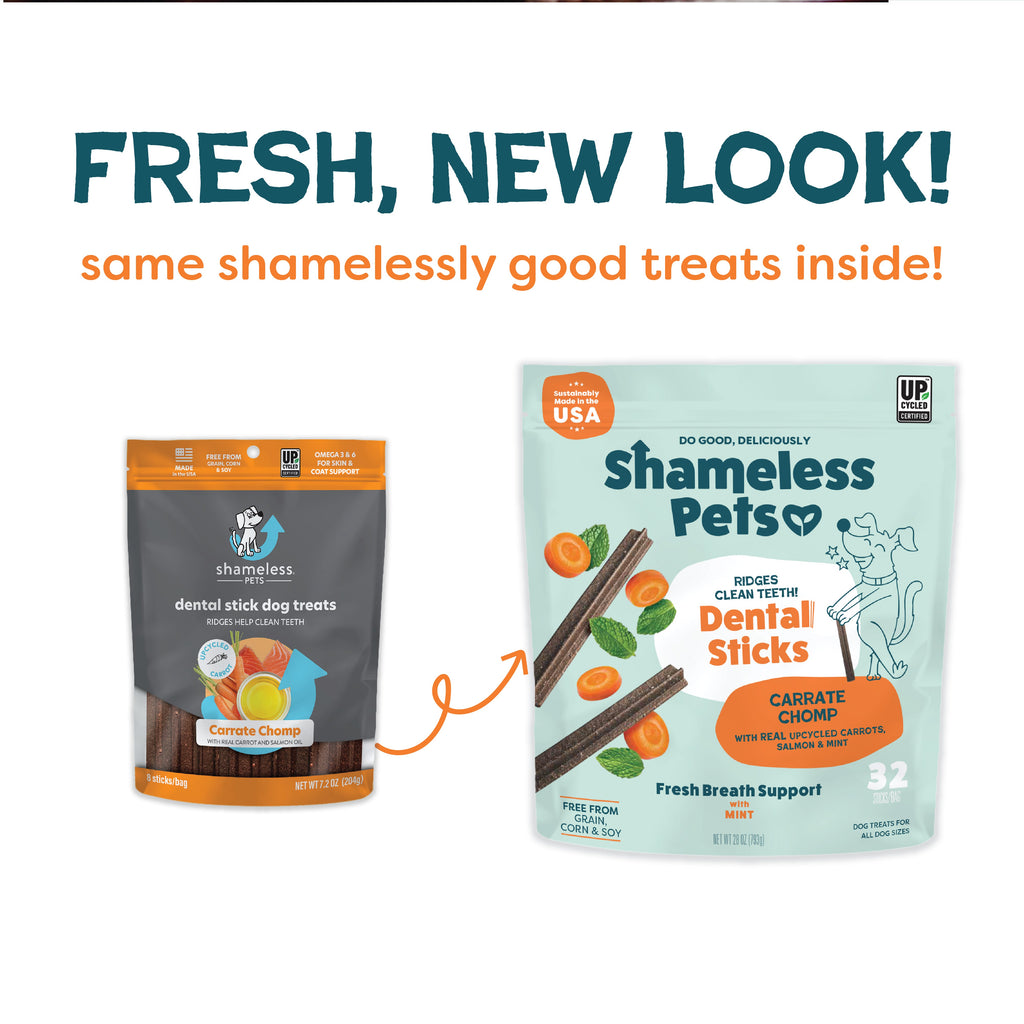 Home Essentials Carrate Chomp Dental Stick for daily home and personal routines with oral care