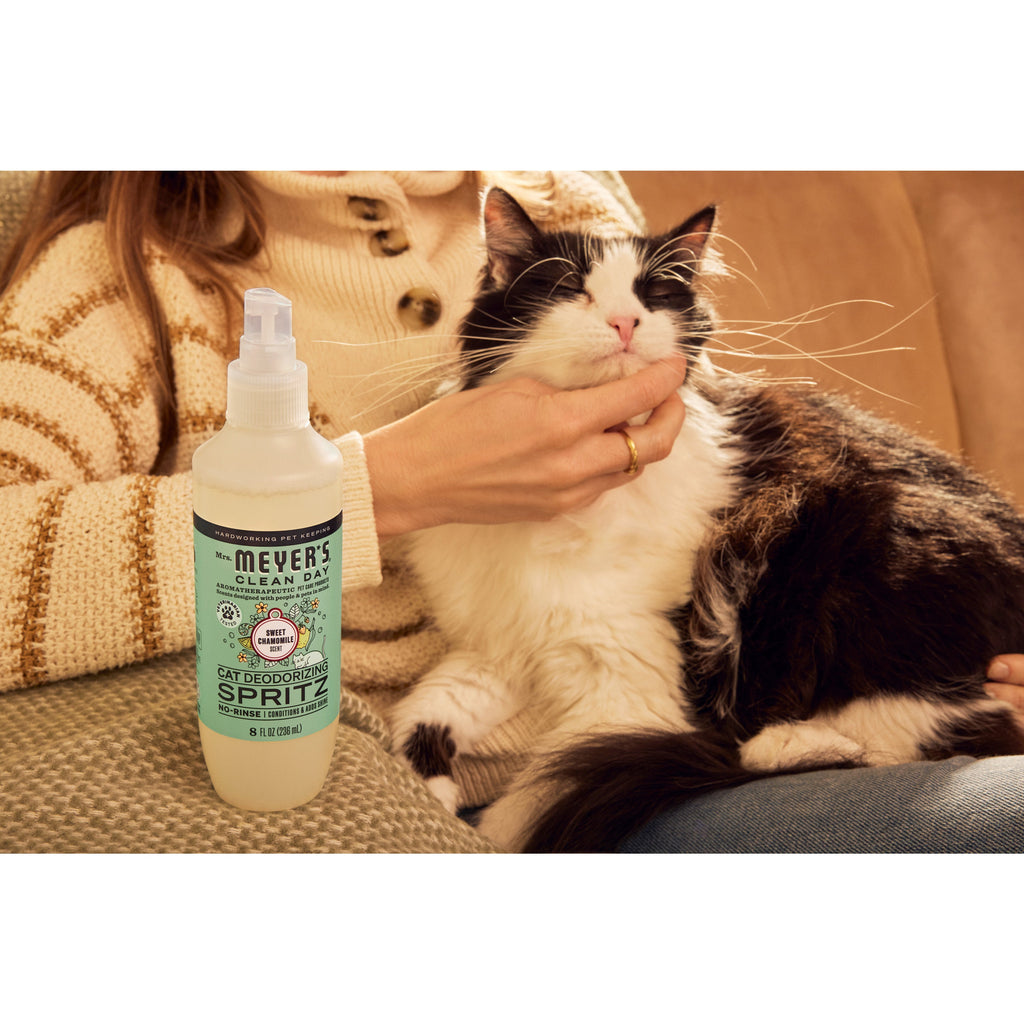 Everyday Home Cat No-Rinse Shampoo for daily home and personal routines with hair care