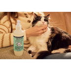 Everyday Home Cat No-Rinse Shampoo for daily home and personal routines with hair care