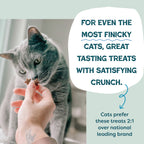 Routine Ready Catnip N Chill Crunchy Cat Treats for daily home and personal routines with pet care treats and accessories