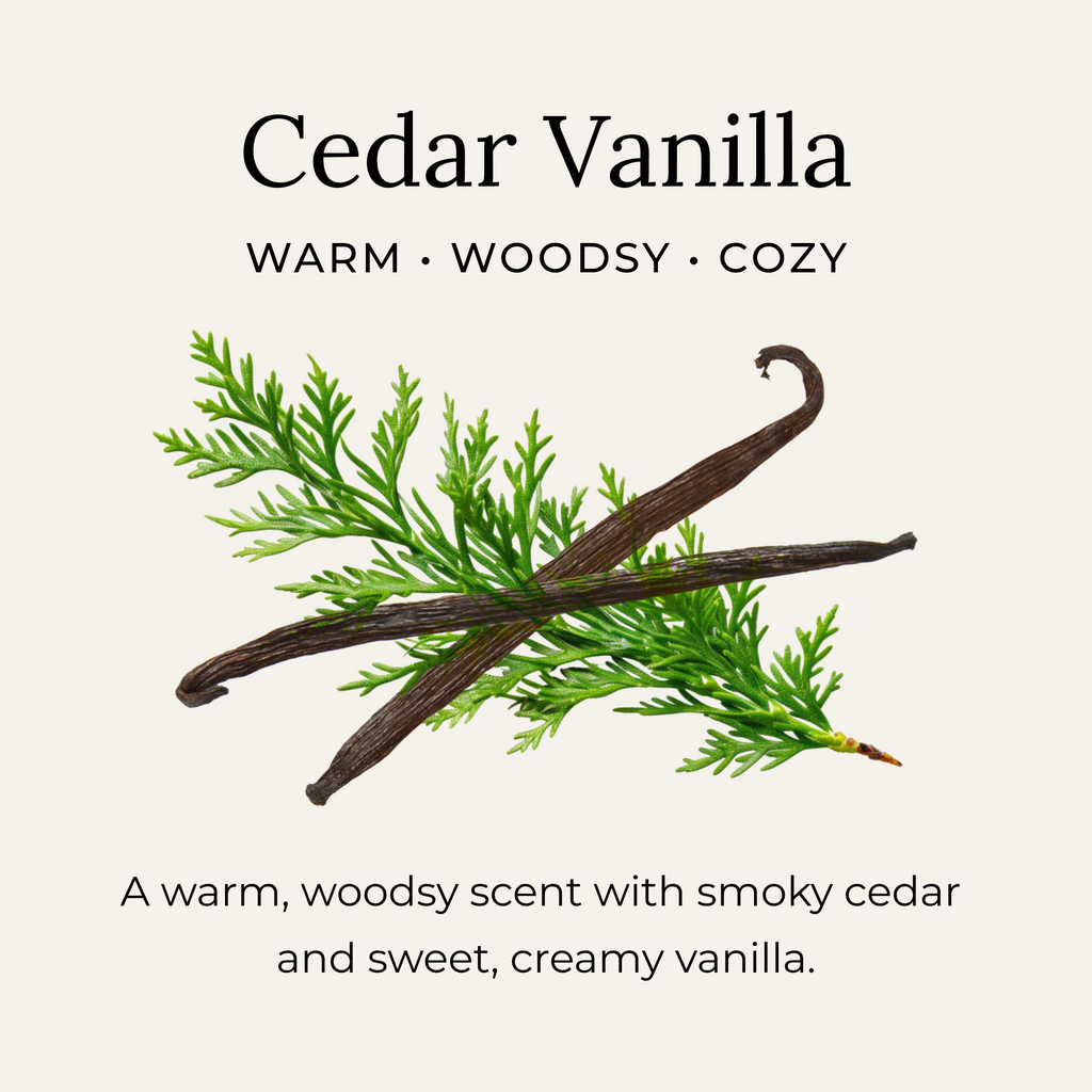 Everyday Home Deodorant Creams for daily home and personal routines with bath body and hygiene