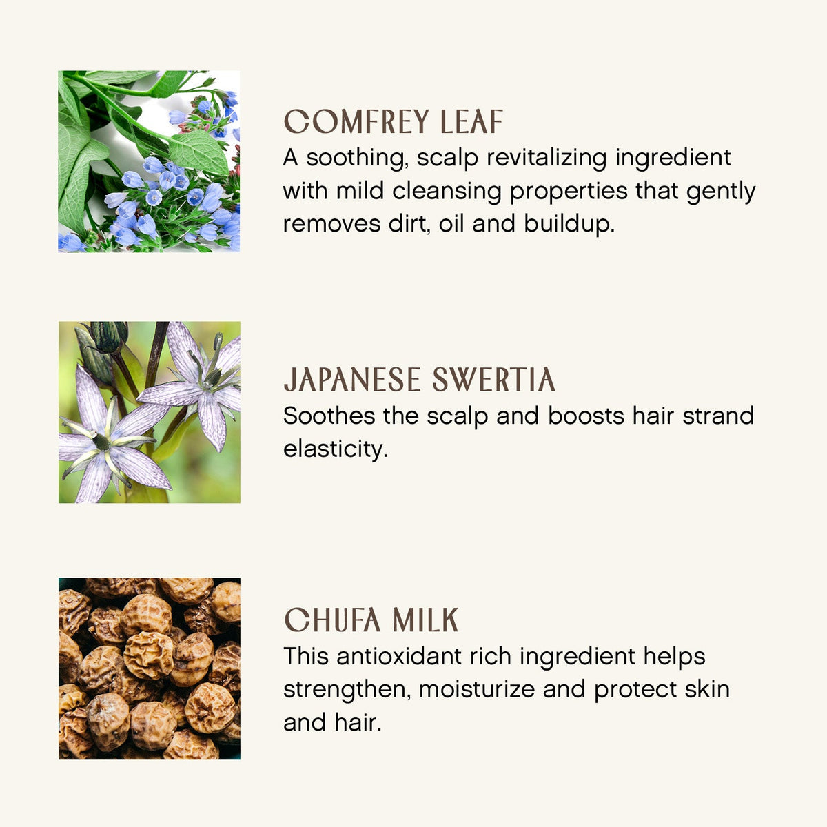 Practical Living Clarity Hairbath for daily home and personal routines with hair care