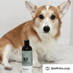Home Essentials Dry Skin and Coat Dog Shampoo for daily home and personal routines with hair care