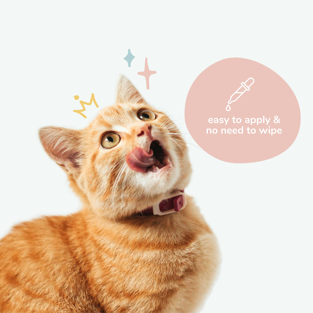 Home Essentials Kitty Ears - Leave-In Cat Ear Cleaner for daily home and personal routines with cleaning laundry and paper products