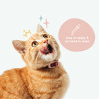 Home Essentials Kitty Ears - Leave-In Cat Ear Cleaner for daily home and personal routines with cleaning laundry and paper products