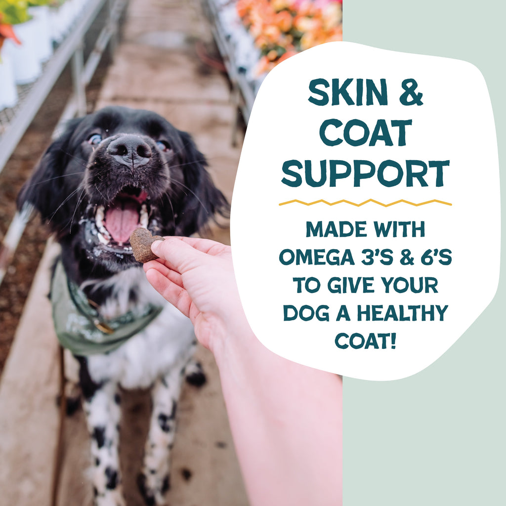 Daily Care Bananas for Bacon Soft-Baked Dog Treats for daily home and personal routines with pet care treats and accessories