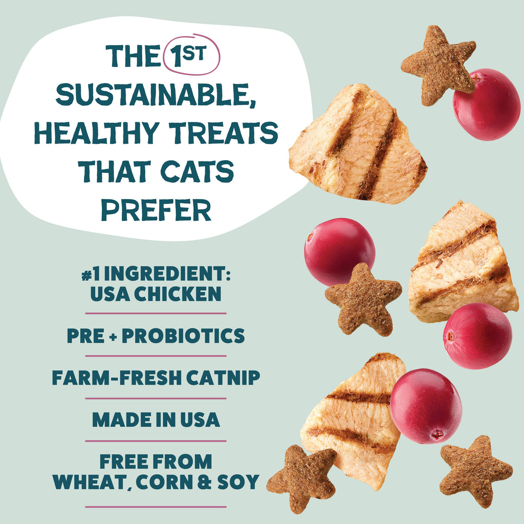 Everyday Home Cran You Say Chicken Cat Treats for daily home and personal routines with pet care treats and accessories