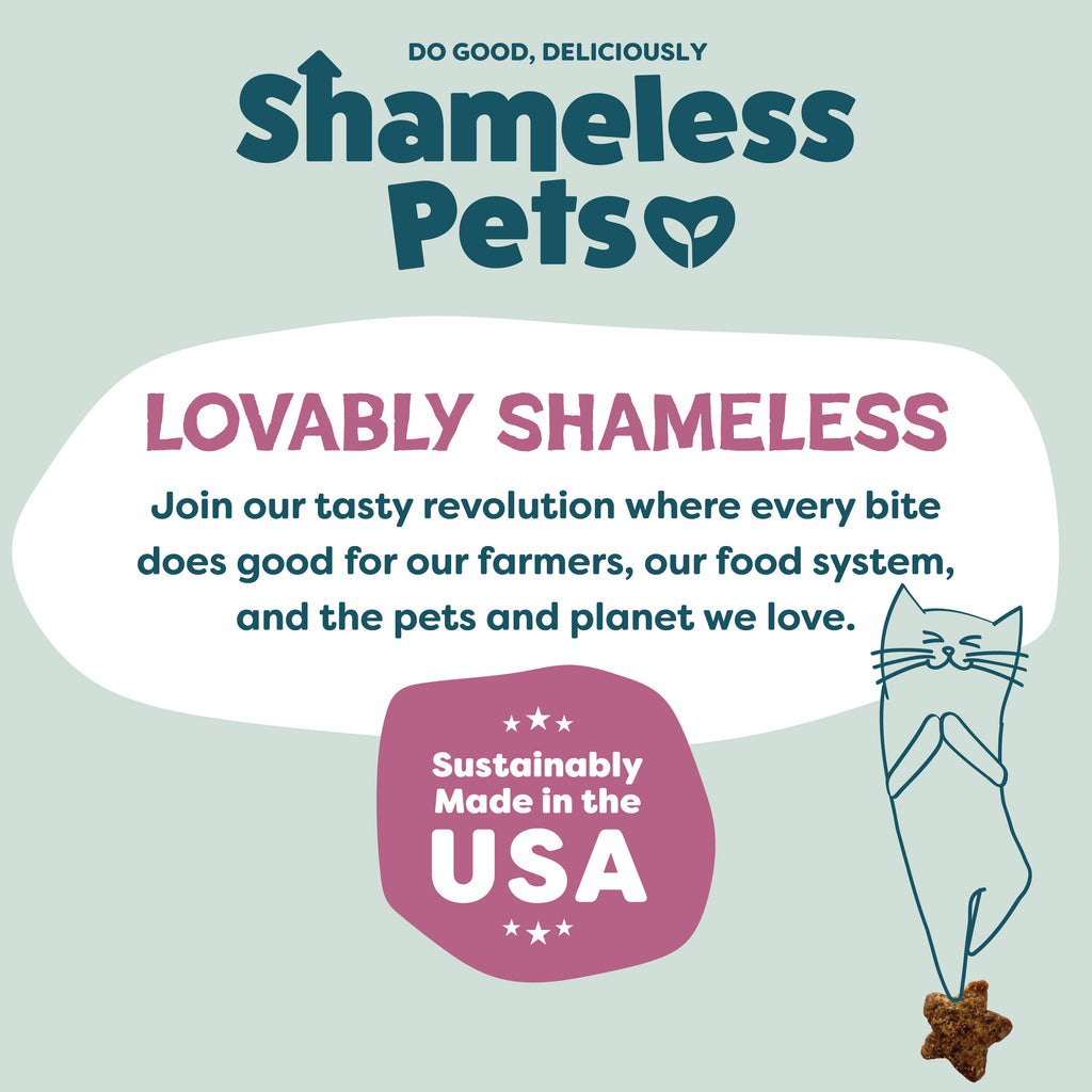 Everyday Home Cran You Say Chicken Cat Treats for daily home and personal routines with pet care treats and accessories