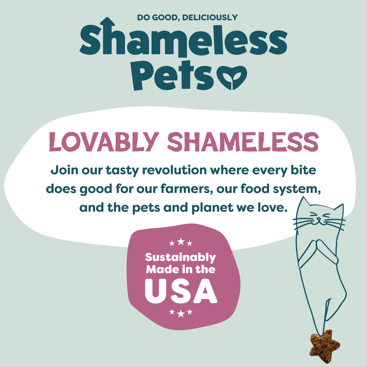 Everyday Home Cran You Say Chicken Cat Treats for daily home and personal routines with pet care treats and accessories