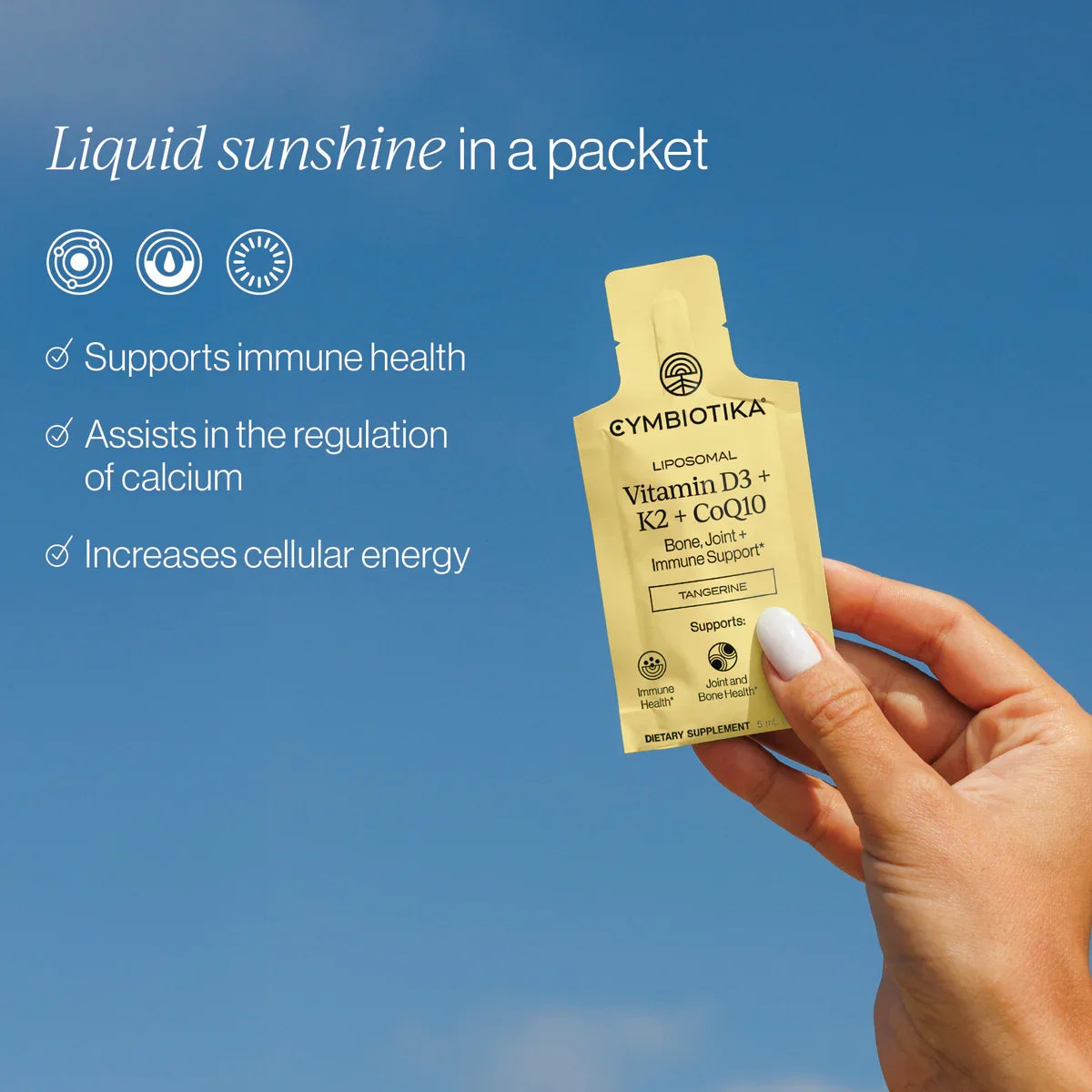 Everyday Home Liposomal Vitamin D3 + K2 + CoQ10 - Bone, Joint + Immune Support for daily home and personal routines with general everyday essentials