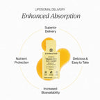 Everyday Home Liposomal Vitamin D3 + K2 + CoQ10 - Bone, Joint + Immune Support for daily home and personal routines with general everyday essentials
