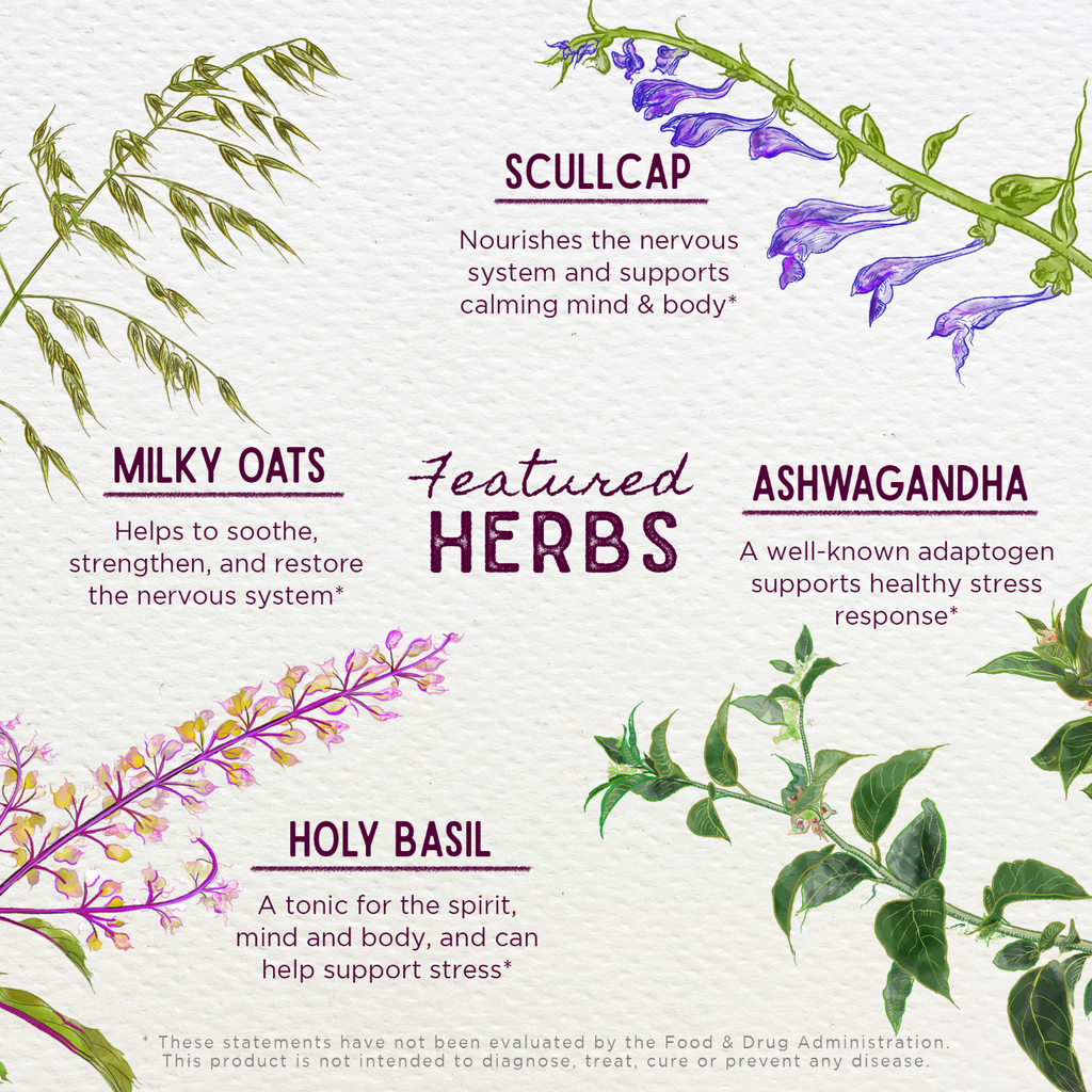 Everyday Home Deep Stress - Herbal Supplement for daily home and personal routines with general everyday essentials