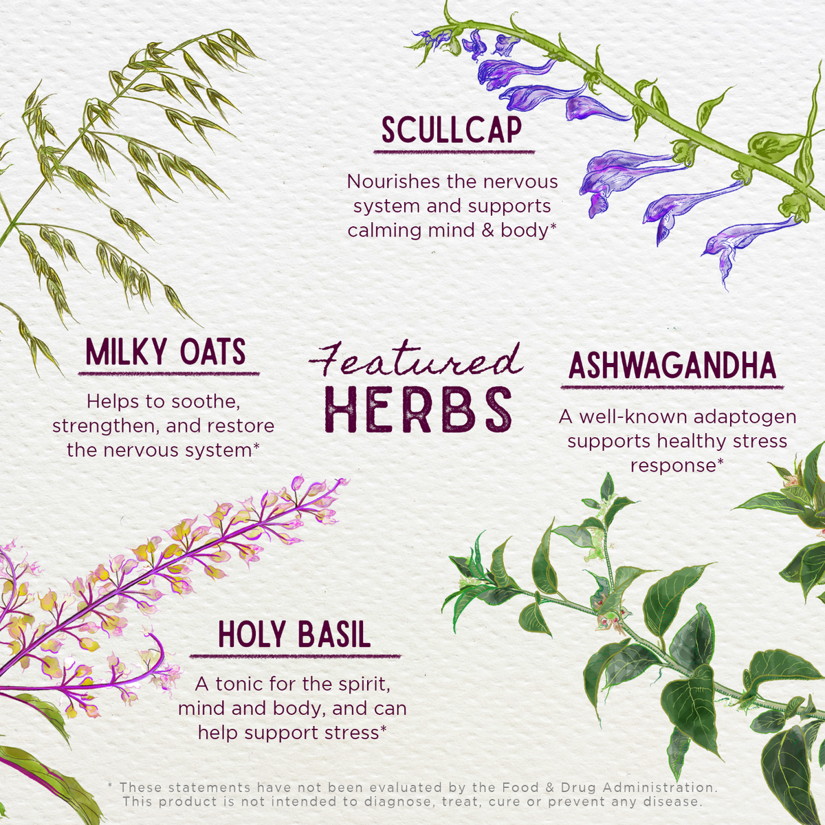 Everyday Home Deep Stress - Herbal Supplement for daily home and personal routines with general everyday essentials
