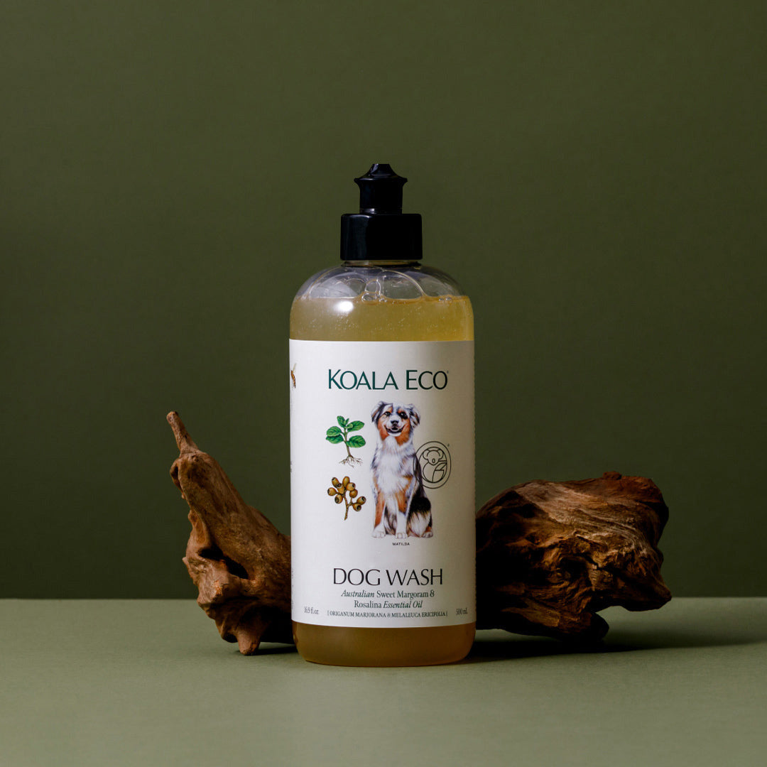 Daily Care Dog Wash for daily home and personal routines with hair care