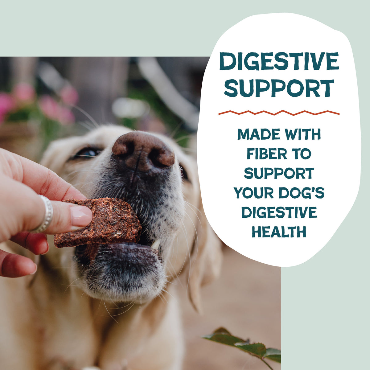 Routine Ready Duck-Tato Bite Sized Jerky Dog Treats for daily home and personal routines with pet care treats and accessories