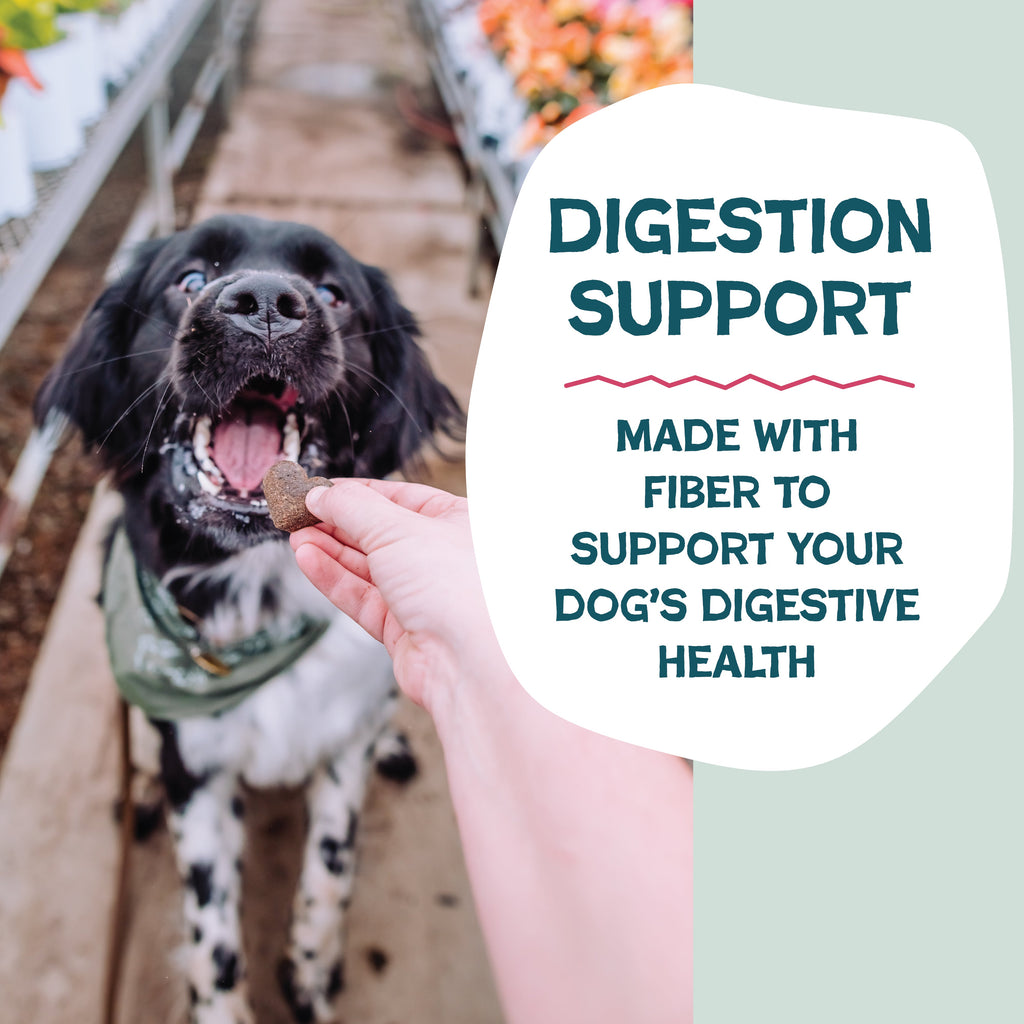 Practical Living Duck Duck Beet Soft-Baked Dog Treats for daily home and personal routines with pet care treats and accessories