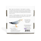 Practical Living A Day at the Beach Set for daily home and personal routines with general everyday essentials