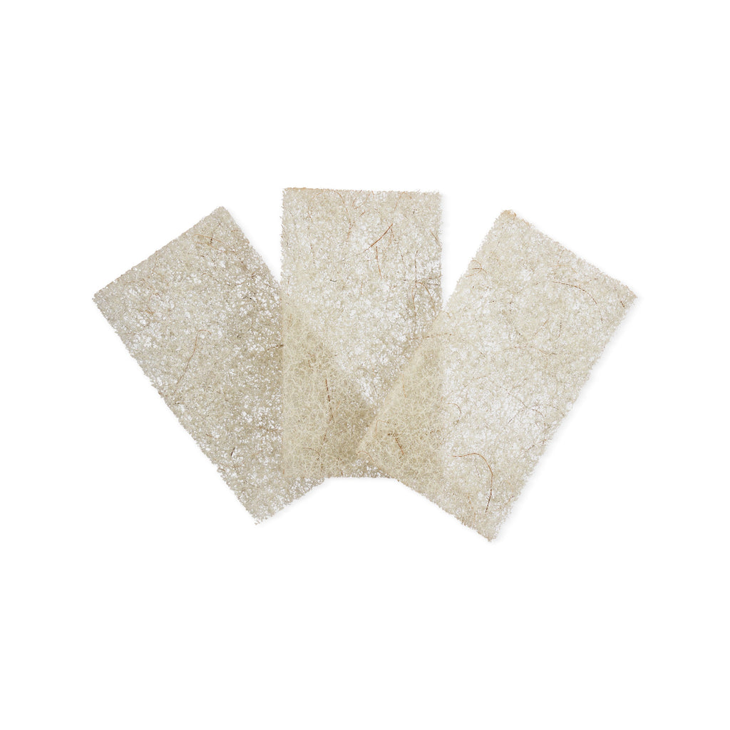 Practical Living Beachy Clean Heavy Duty Coconut Scour Pads for daily home and personal routines with general everyday essentials