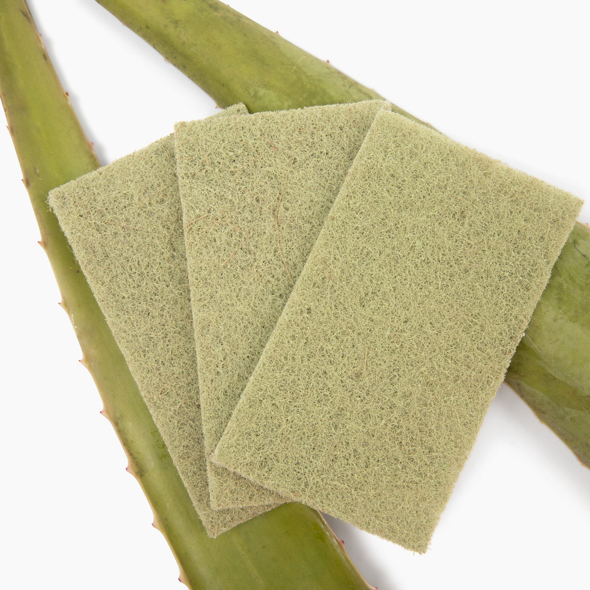 Daily Care Agave Leaf Scour Pads for daily home and personal routines with general everyday essentials