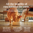 Routine Ready Cat Food - Feline Natural Grain-included, Freeze-Dried for daily home and personal routines with pet care treats and accessories