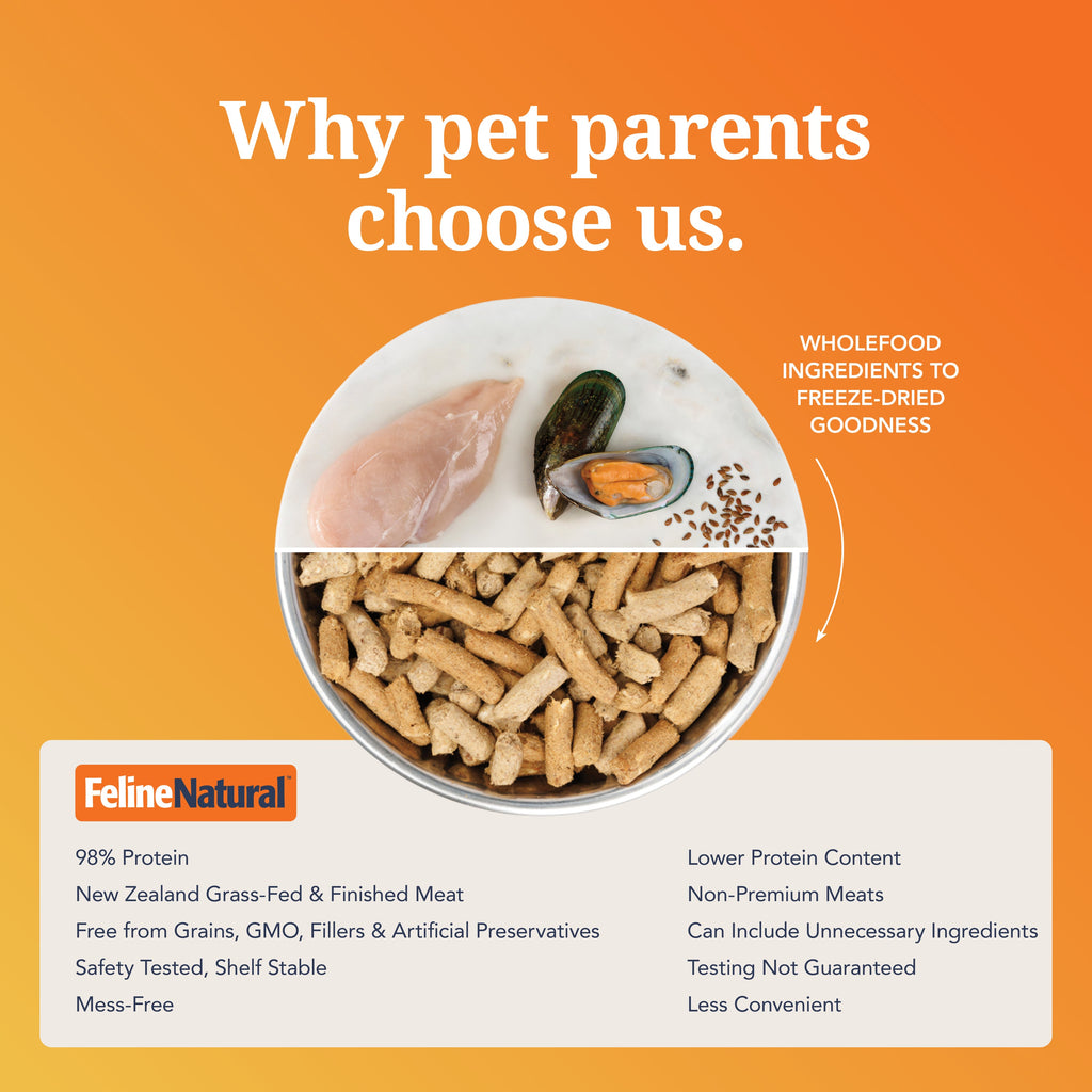 Routine Ready Cat Food - Feline Natural Grain-included, Freeze-Dried for daily home and personal routines with pet care treats and accessories
