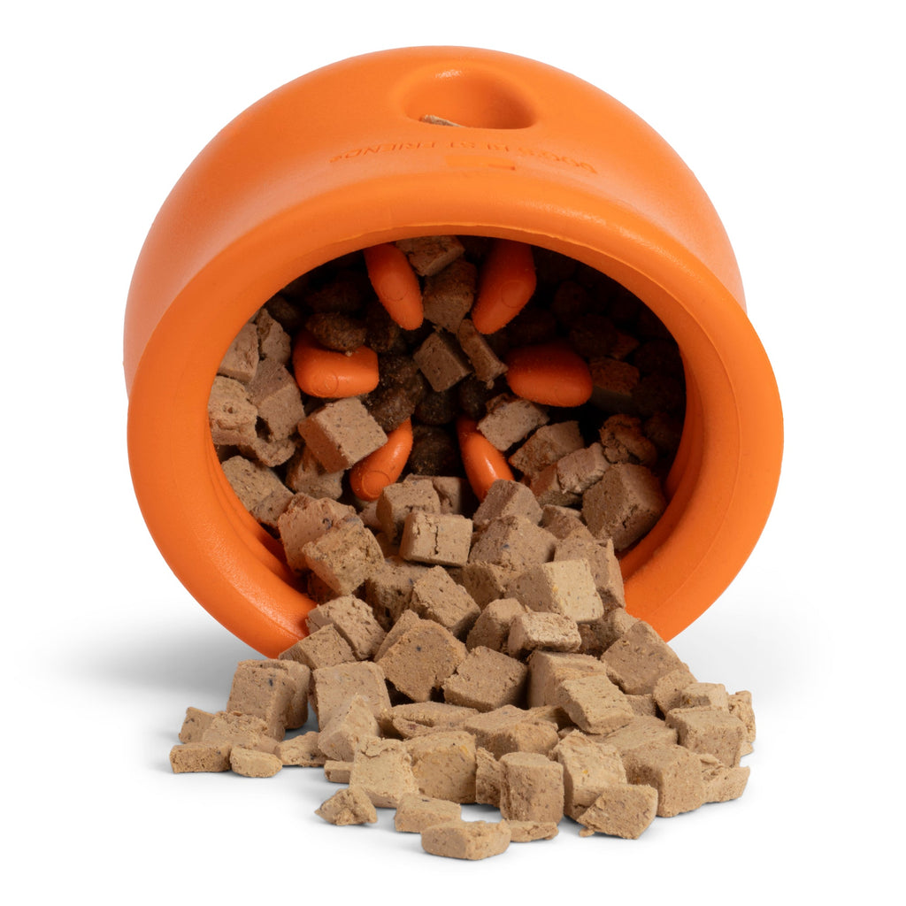 Daily Care Beef Rawbiotic Bites Dog Food Topper for daily home and personal routines with pet care treats and accessories