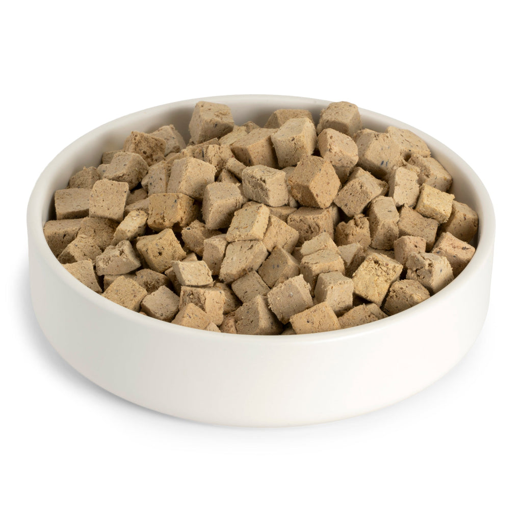 Everyday Home Chicken Rawbiotic Bites Dog Food Topper for daily home and personal routines with pet care treats and accessories
