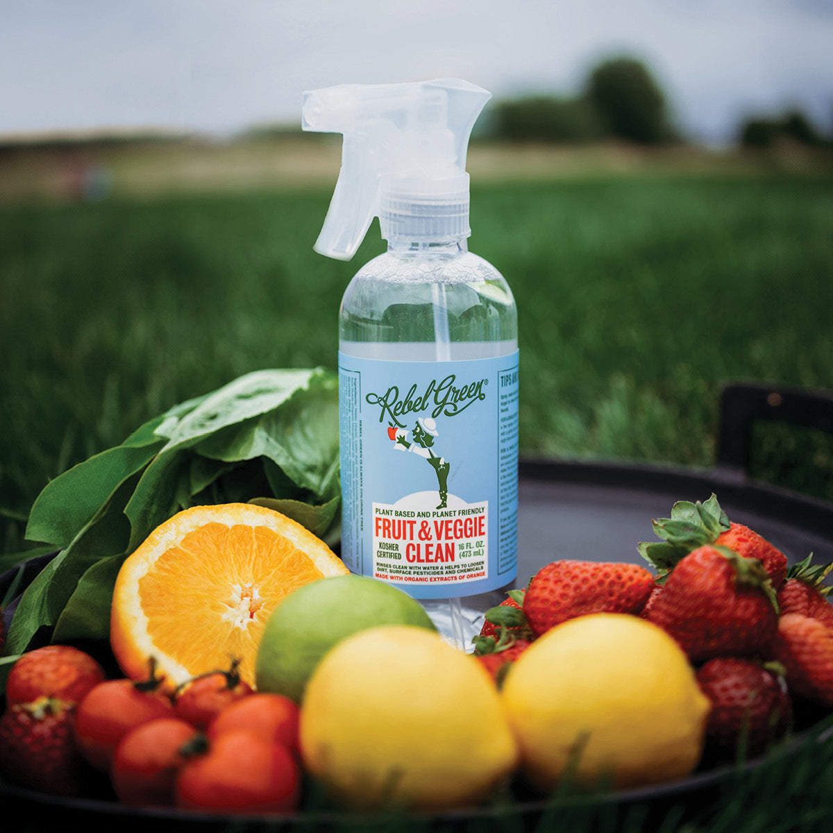 Practical Living Fruit and Veggie Clean Produce Wash Spray for daily home and personal routines with general everyday essentials