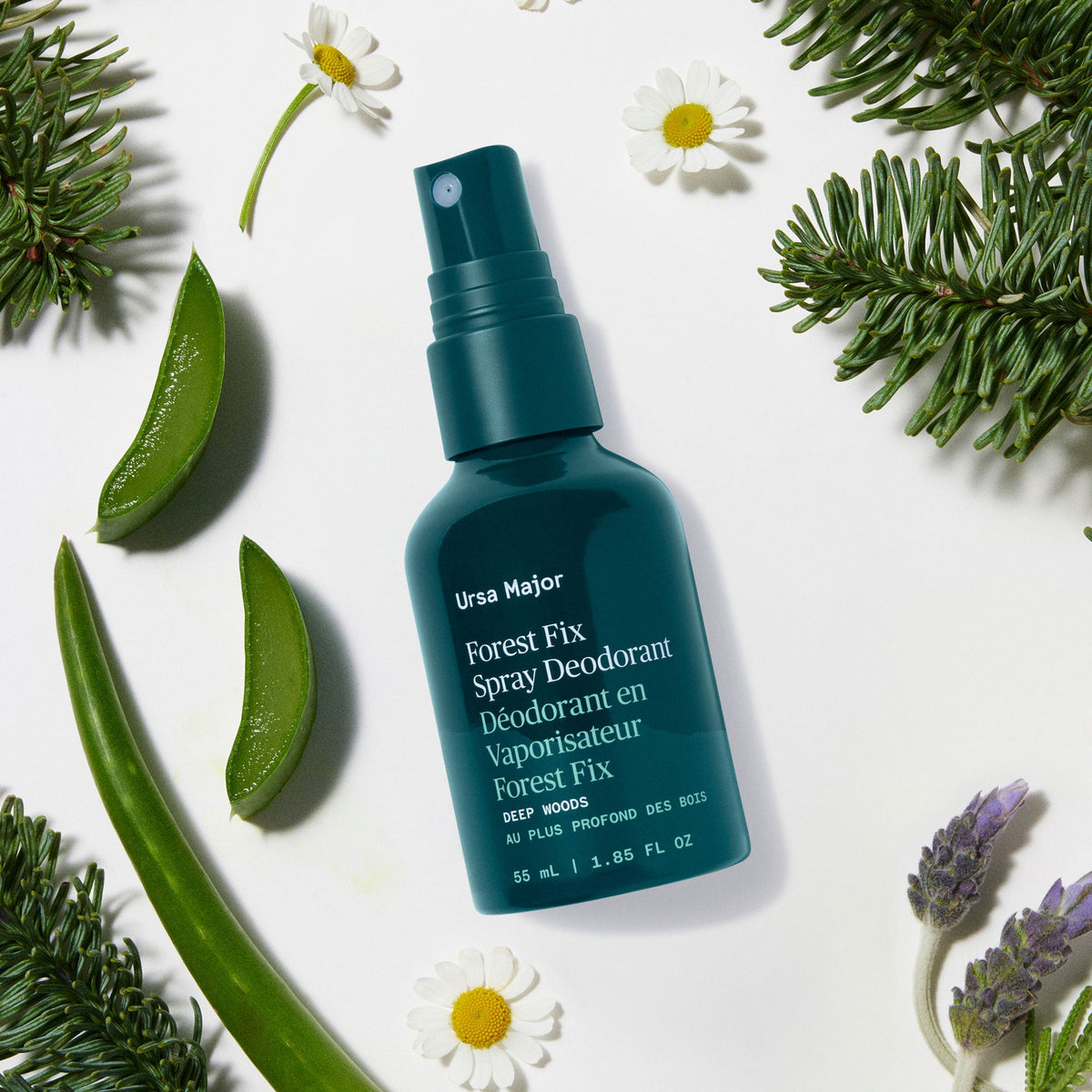 Routine Ready Forest Fix Spray Deodorant for daily home and personal routines with bath body and hygiene