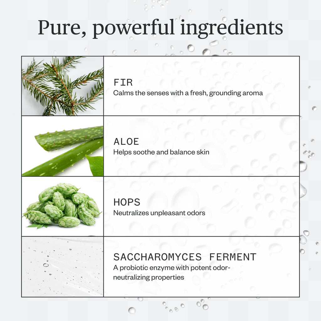 Routine Ready Forest Fix Spray Deodorant for daily home and personal routines with bath body and hygiene