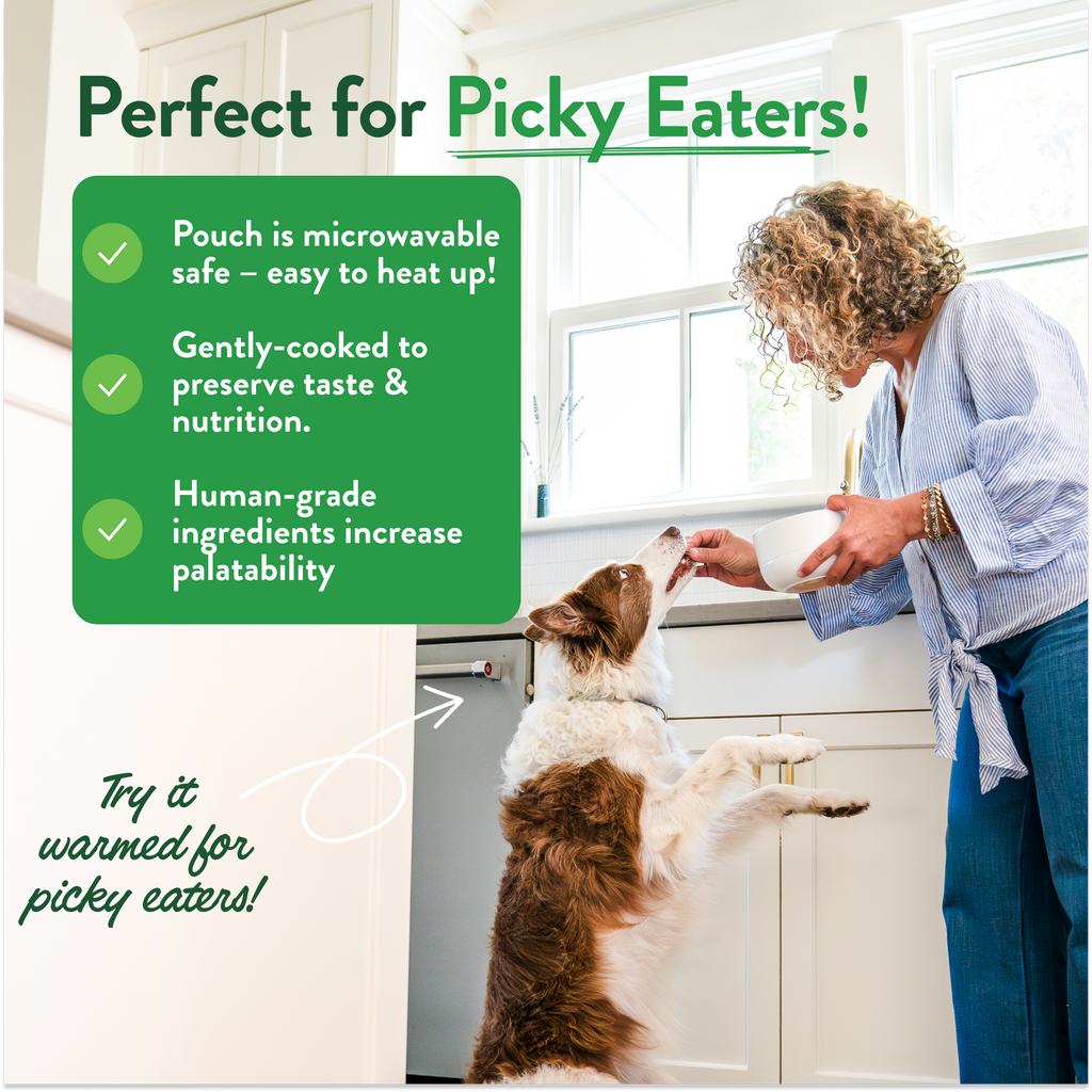 Home Essentials Grandma Ada s Turkey and Yams Human-Grade Dog Meal, Mixer or Meal Topper, 9 oz Pouch - Single for daily home and personal routines with pet care treats and accessories