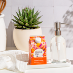 Home Essentials Hand Soap Refill - Summer Collection for daily home and personal routines with bath body and hygiene