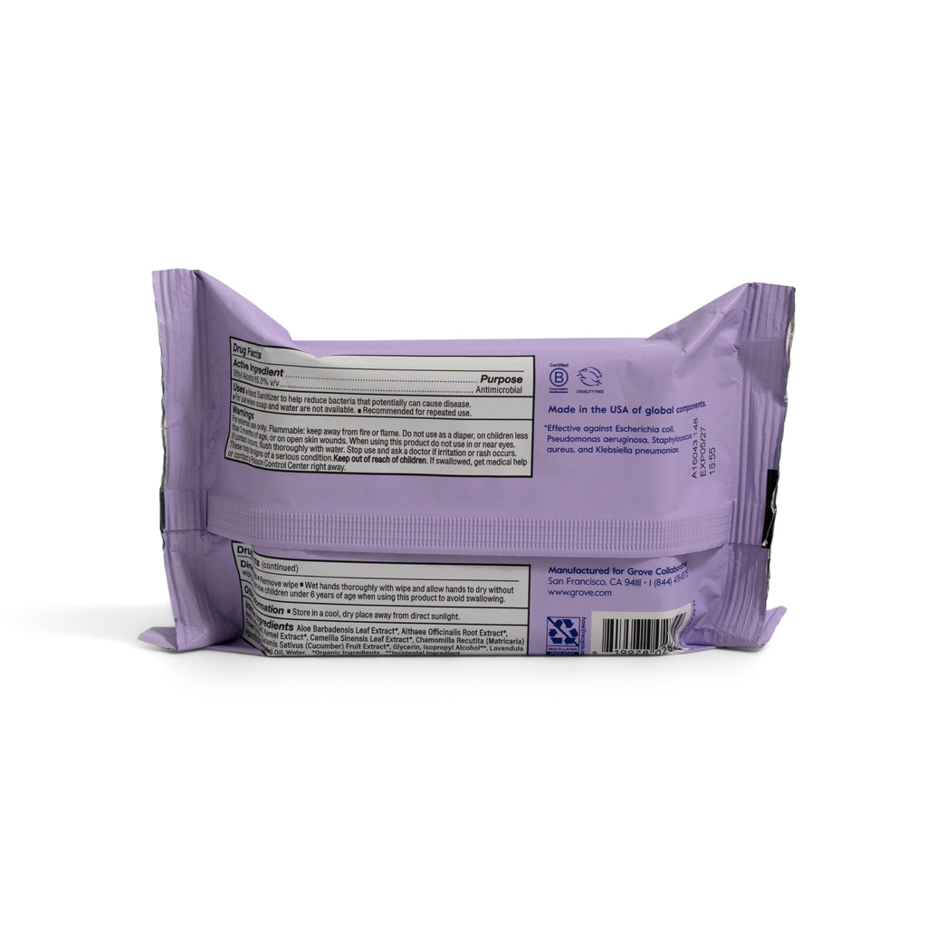 Home Essentials Hand Sanitizing Wipes - Kills 99.9% of Germs for daily home and personal routines with general everyday essentials