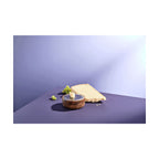 Practical Living Cut N Serve Fine Round Grater for daily home and personal routines with general everyday essentials