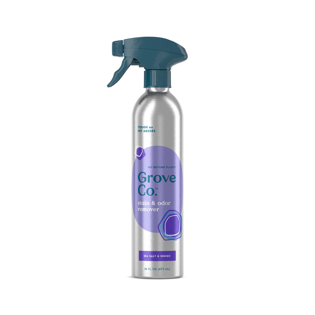 Routine Ready Carpet and Upholstery Stain Remover for daily home and personal routines with cleaning laundry and paper products