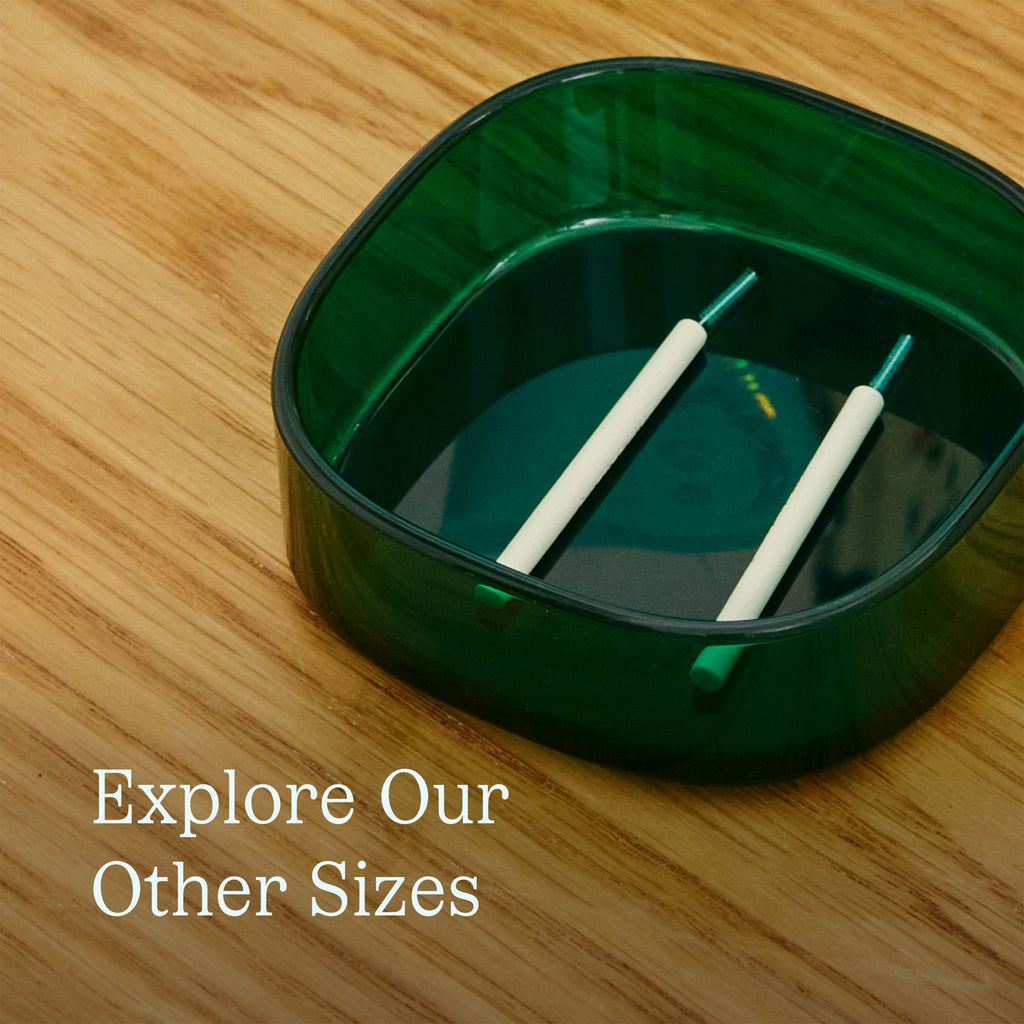 Home Essentials Great Gums Brush for daily home and personal routines with oral care