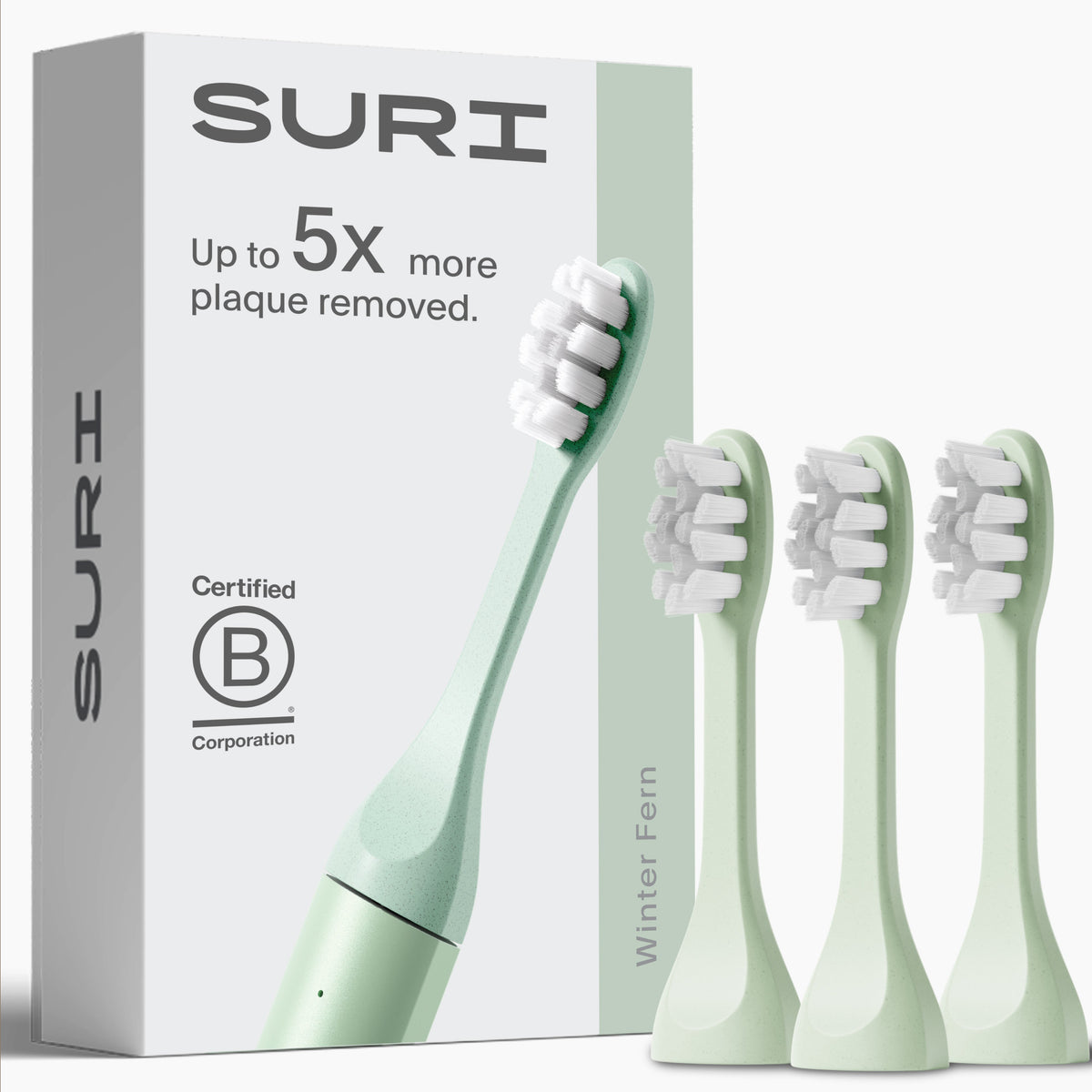 Brush Replacement Heads