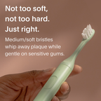 Daily Care Brush Replacement Heads for daily home and personal routines with oral care