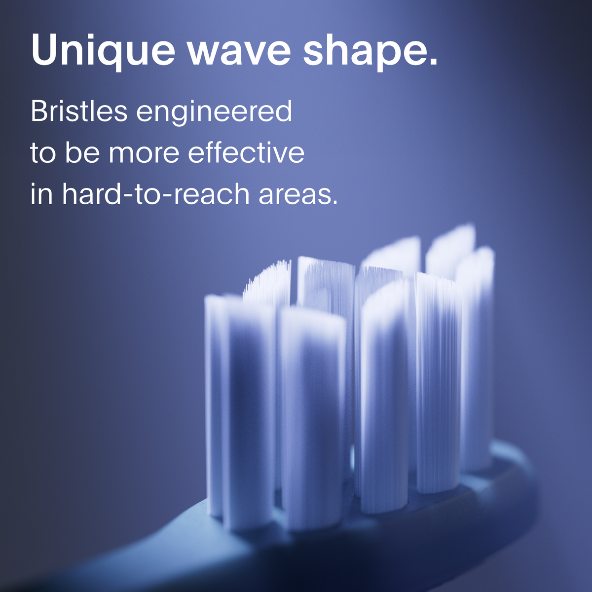 Daily Care Brush Replacement Heads for daily home and personal routines with oral care