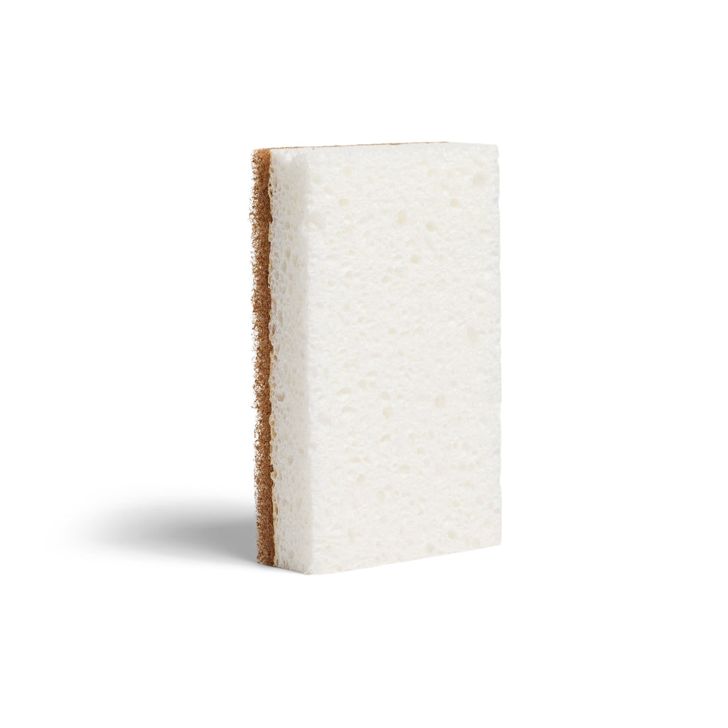 Practical Living Heavy-Duty Agave Scrubber Sponges for daily home and personal routines with cleaning laundry and paper products