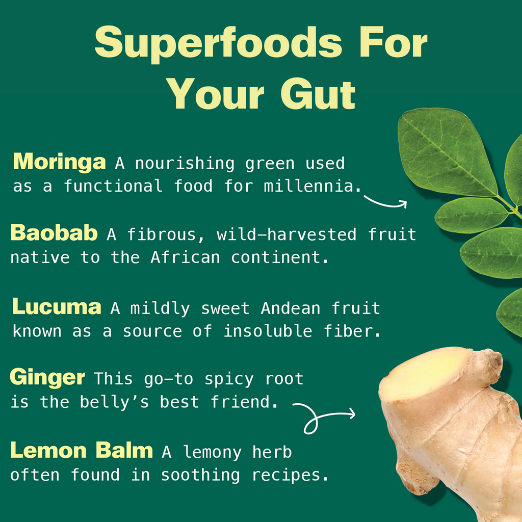 Practical Living Gut Bliss Organic Superfood Blend for daily home and personal routines with pantry foods and beverages
