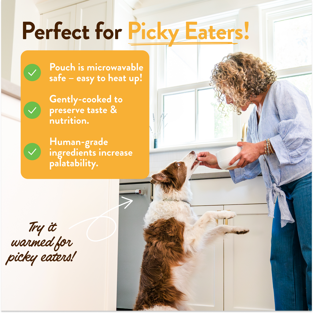 Daily Care Hopkins Pork N Potato Human-Grade Dog Meal, Mixer or Meal Topper, 9 oz Pouch - Single for daily home and personal routines with pet care treats and accessories