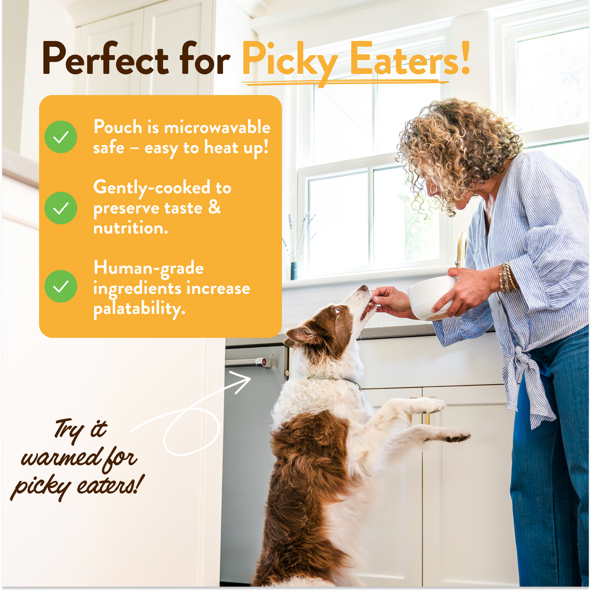 Daily Care Hopkins Pork N Potato Human-Grade Dog Meal, Mixer or Meal Topper, 9 oz Pouch - Single for daily home and personal routines with pet care treats and accessories
