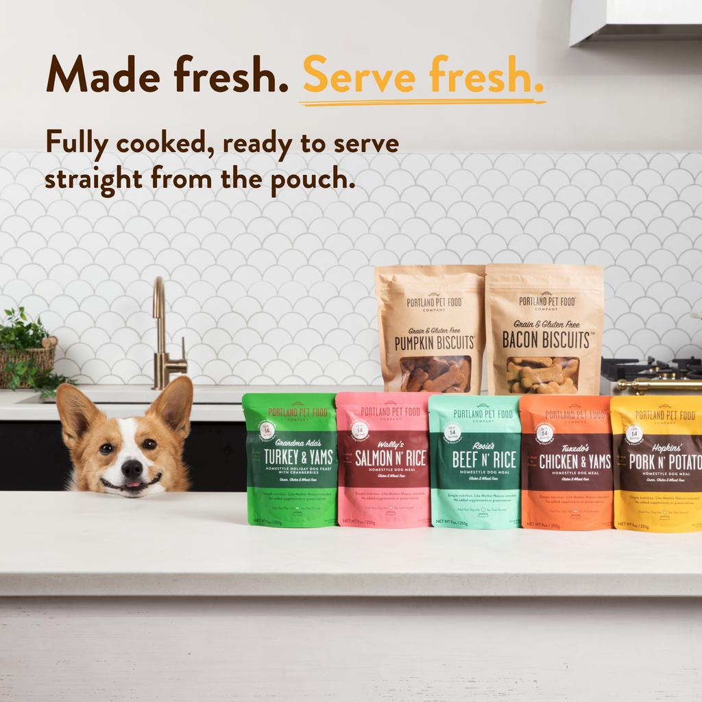 Daily Care Hopkins Pork N Potato Human-Grade Dog Meal, Mixer or Meal Topper, 9 oz Pouch - Single for daily home and personal routines with pet care treats and accessories