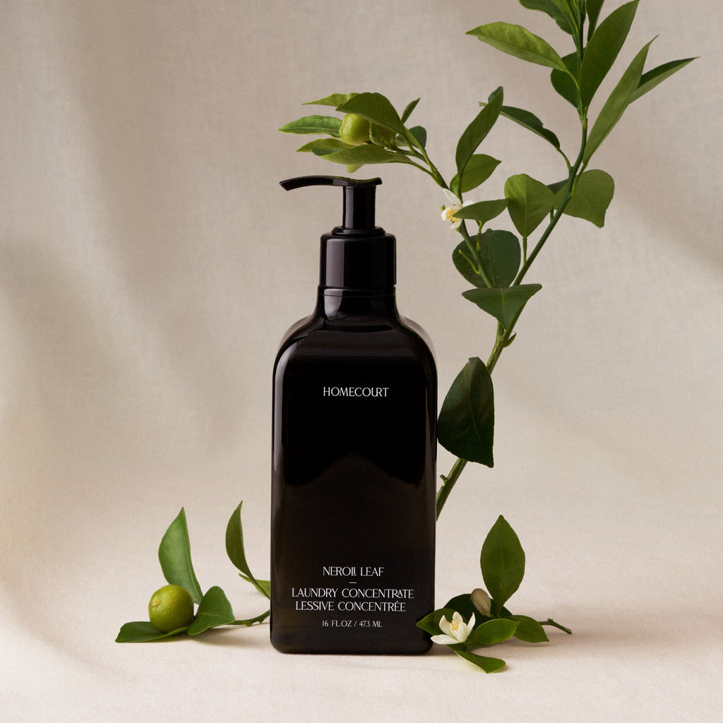Routine Ready Laundry Concentrate for daily home and personal routines with cleaning laundry and paper products