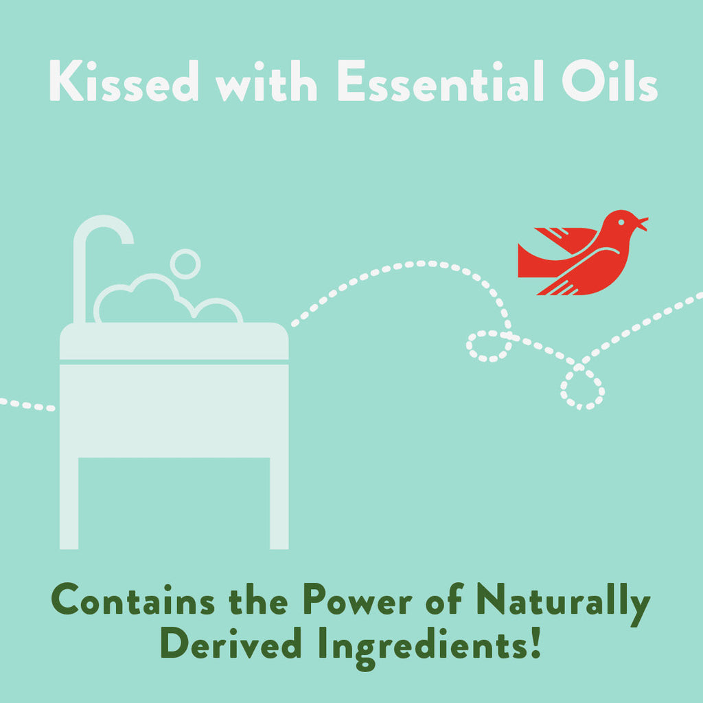 Practical Living Fresh and Clean Hand Soap for daily home and personal routines with bath body and hygiene