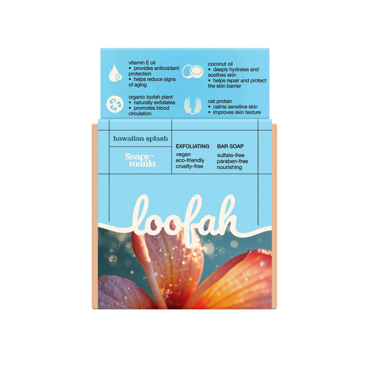 Daily Care Hawaiian Splash Exfoliating Loofah Bar Soap for daily home and personal routines with bath body and hygiene